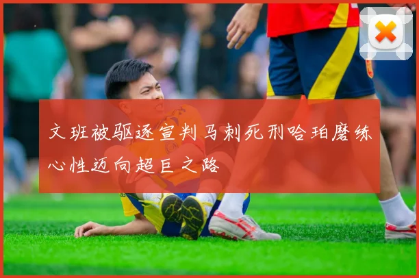 文班被驱逐宣判马刺死刑哈珀磨练心性迈向超巨之路